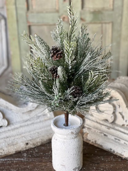 Wishing Wilderness Fir Spray