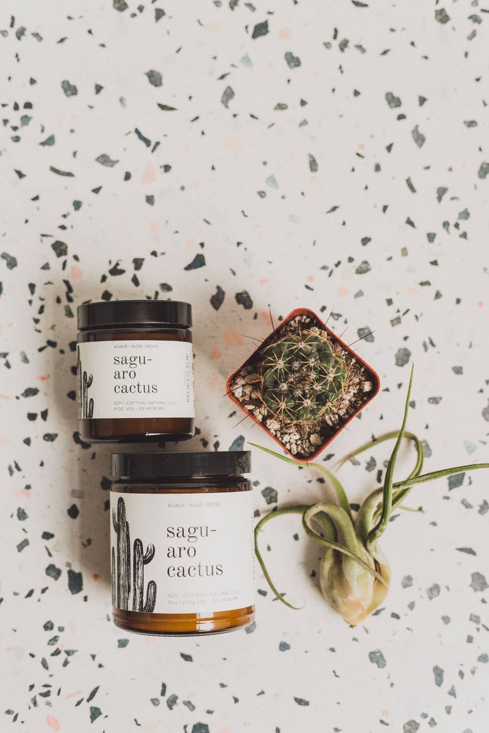 Saguaro Cactus 9oz Soy Candle