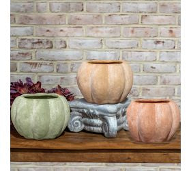 Open Top Pumpkin