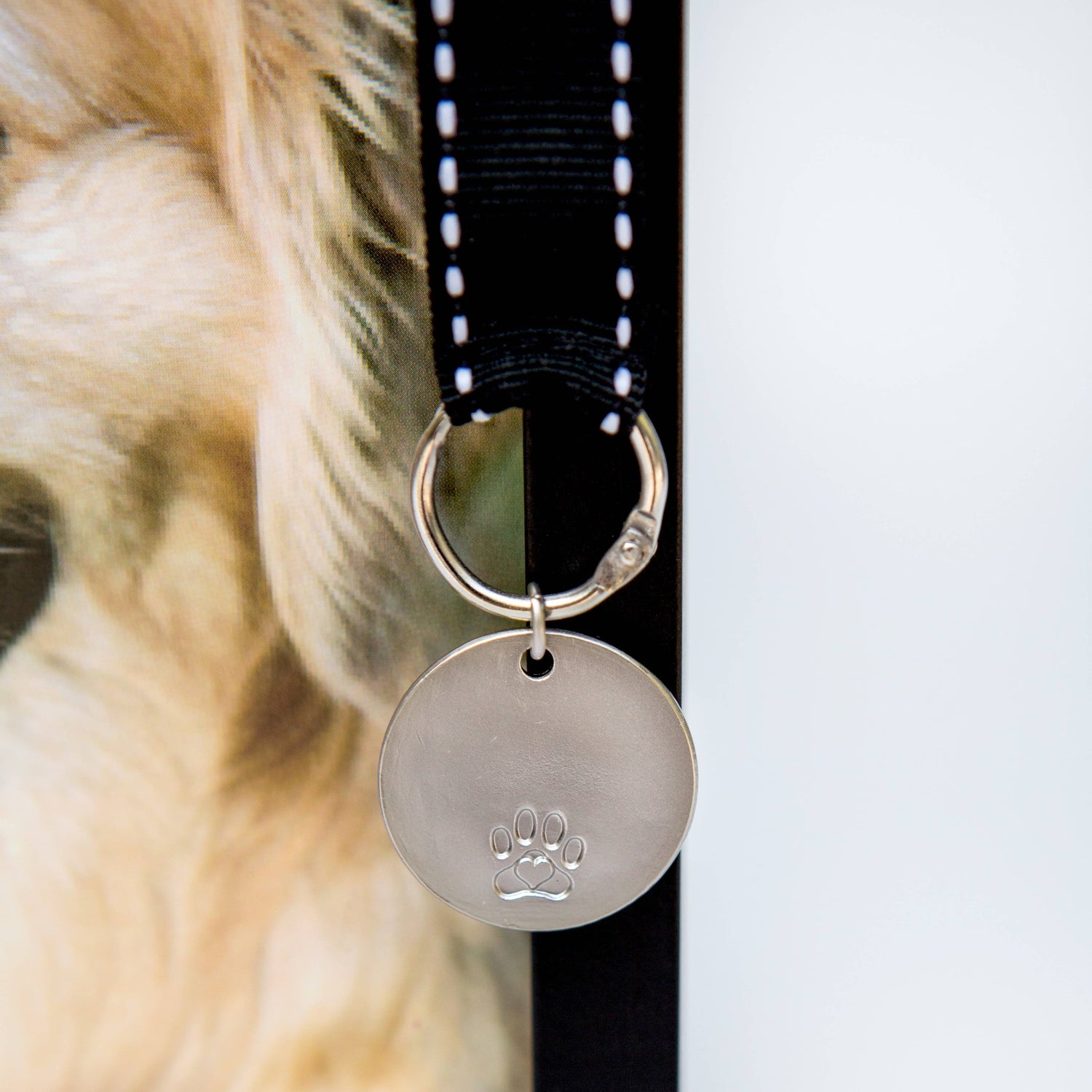 Pawprints Left By You Pet Memorial Frame for  Dog 6070