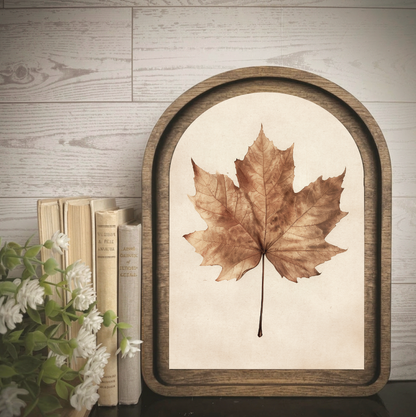 Arch Frame Art Fall Leaf Maple Autumn | Wood &amp; Canvas