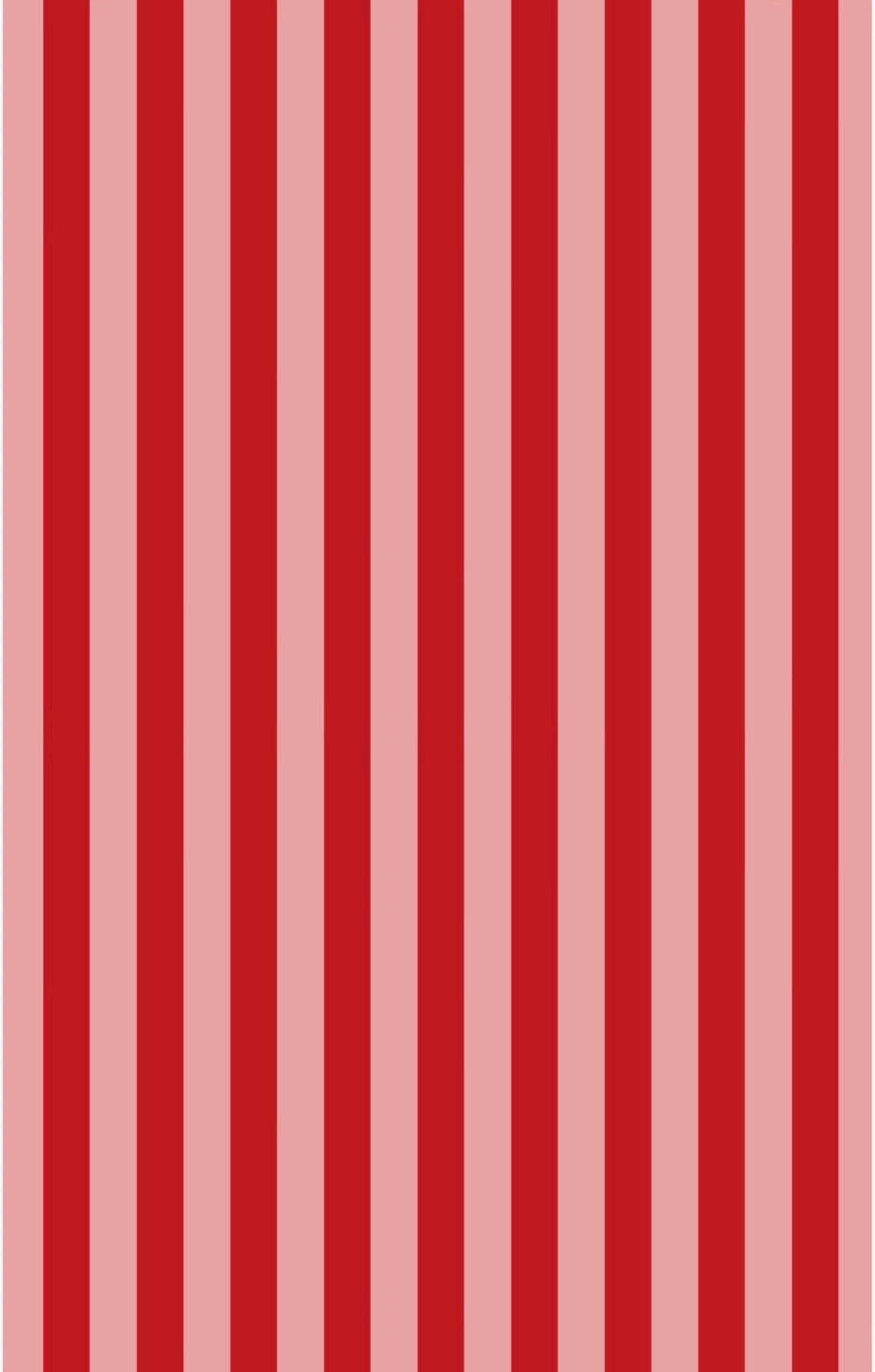 Berry Sweet Picnic: Reversible Washcloth