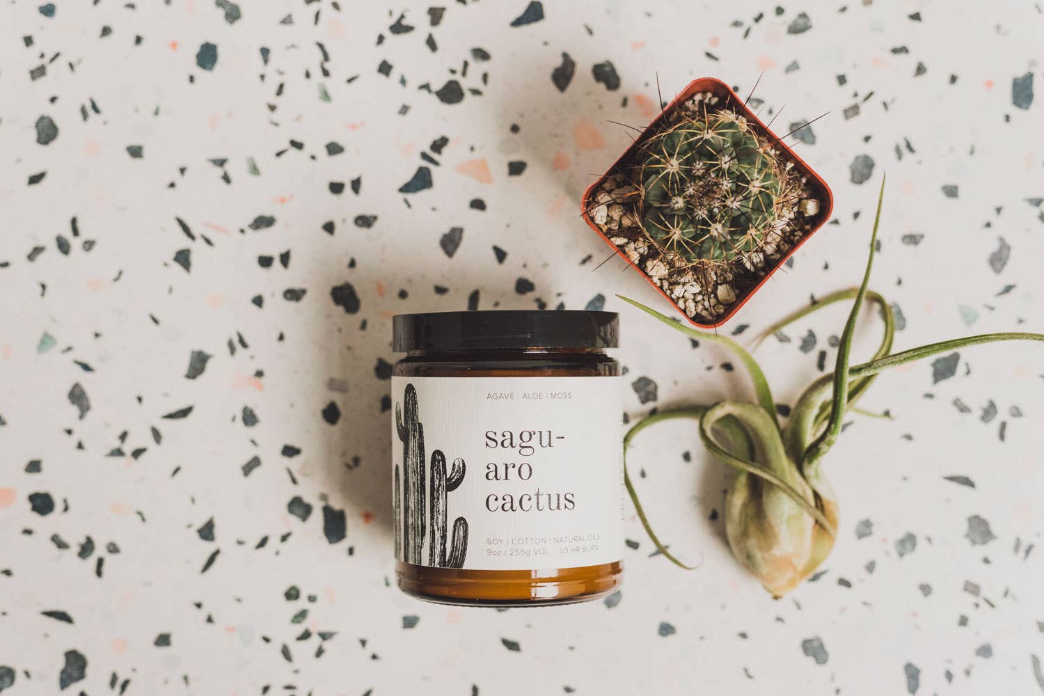 Saguaro Cactus 9oz Soy Candle