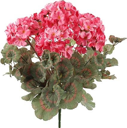 Pink Geranium Flower Bush