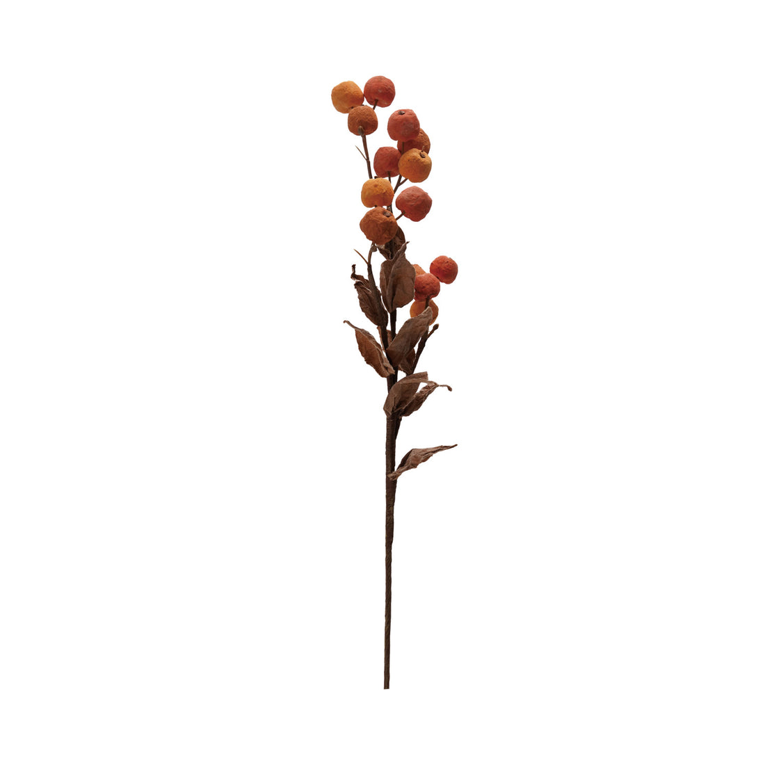 Orange Berry Branch
