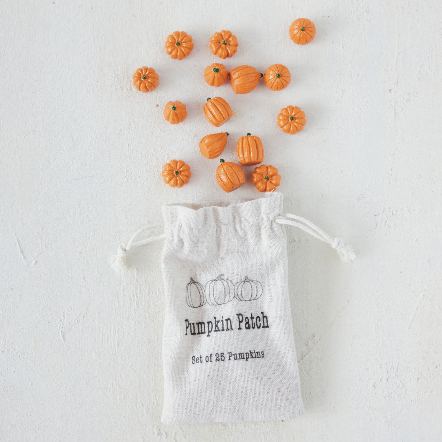 Pumpkin in Drawstring Bag
