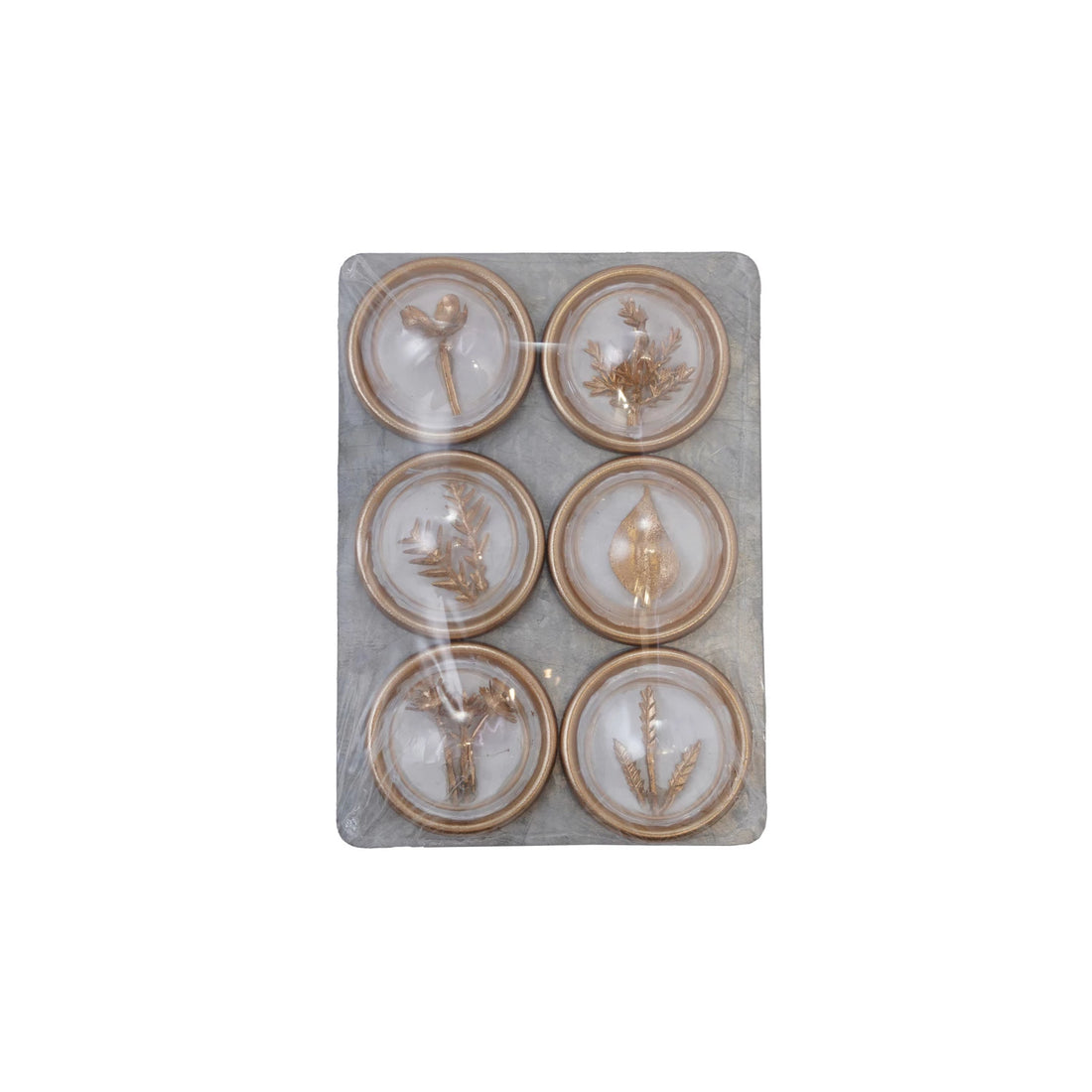 Botanical Magnet Set