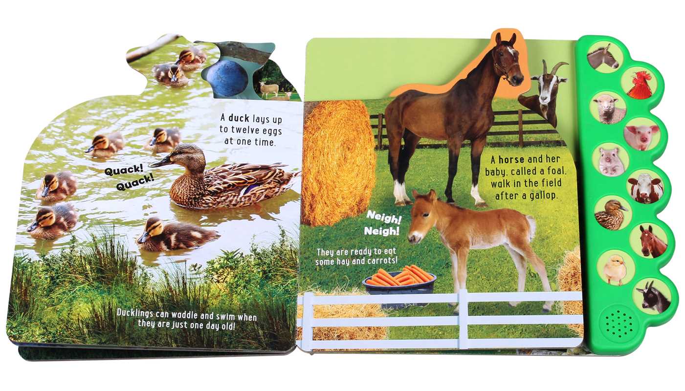 Discovery: Moo on the Farm! by Thea Feldman