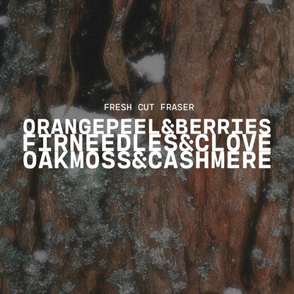 5 oz Cream Jar Candle: Fresh Cut Fraser