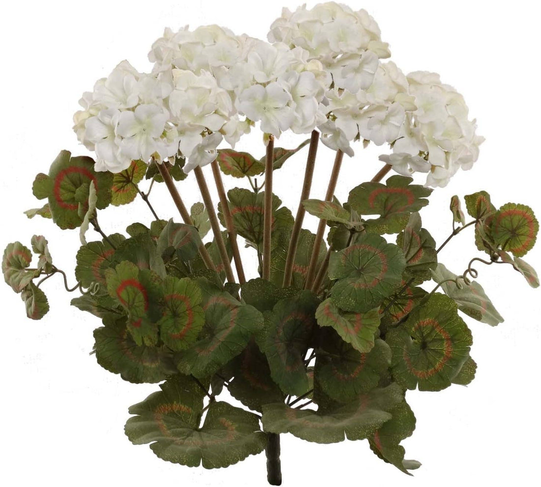 White Geranium Flower Bush