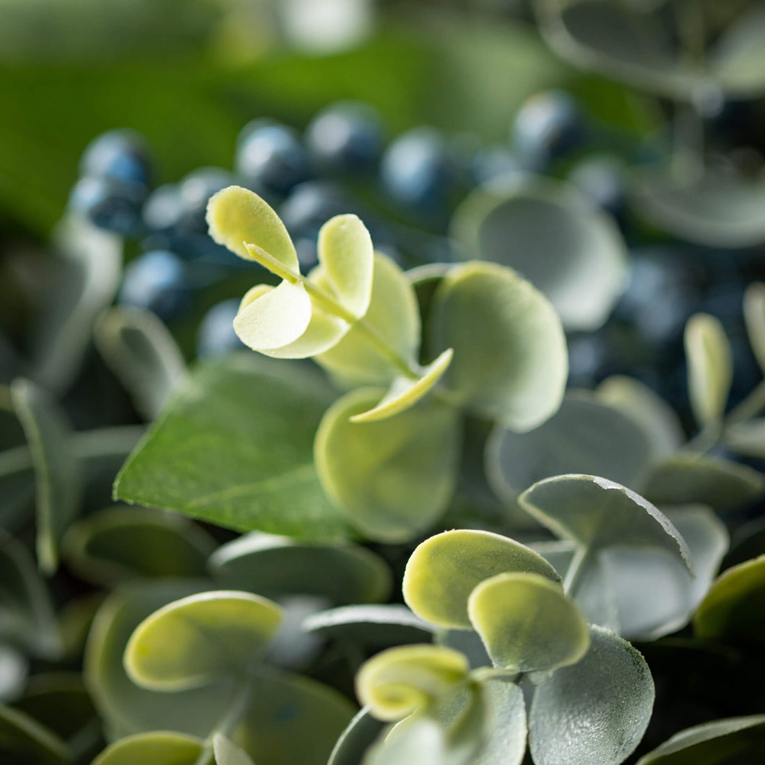 Eucalyptus / Sage Pick