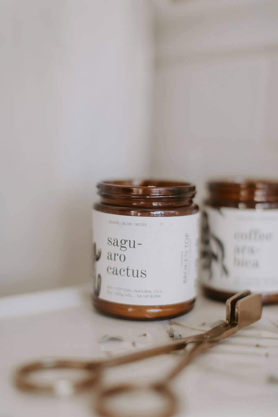 Saguaro Cactus 9oz Soy Candle