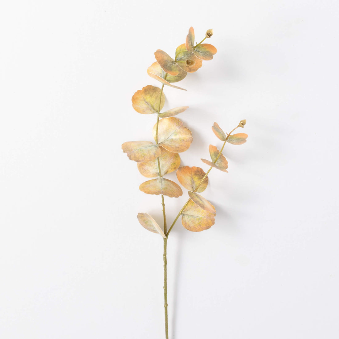 Eucalyptus Leaf Spray