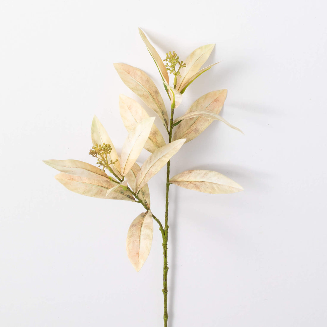 Leaf Seed Spray