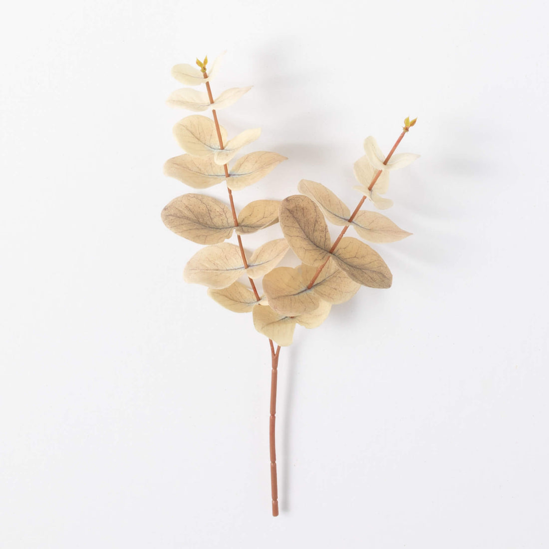 Fall Eucalyptus Pick
