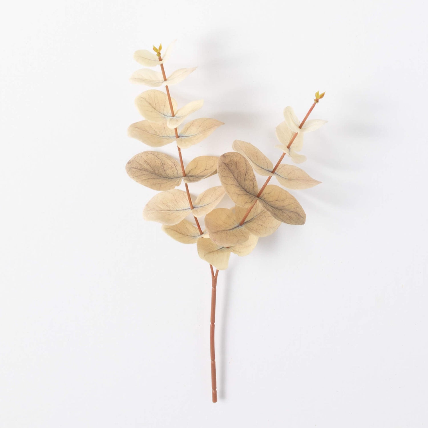 Fall Eucalyptus Pick