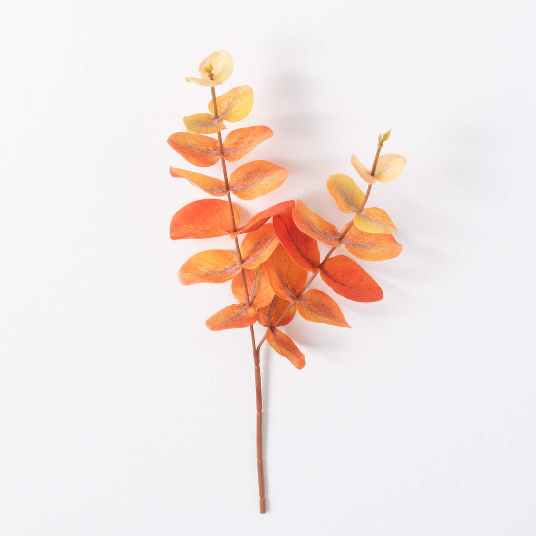 Fall Eucalyptus Pick