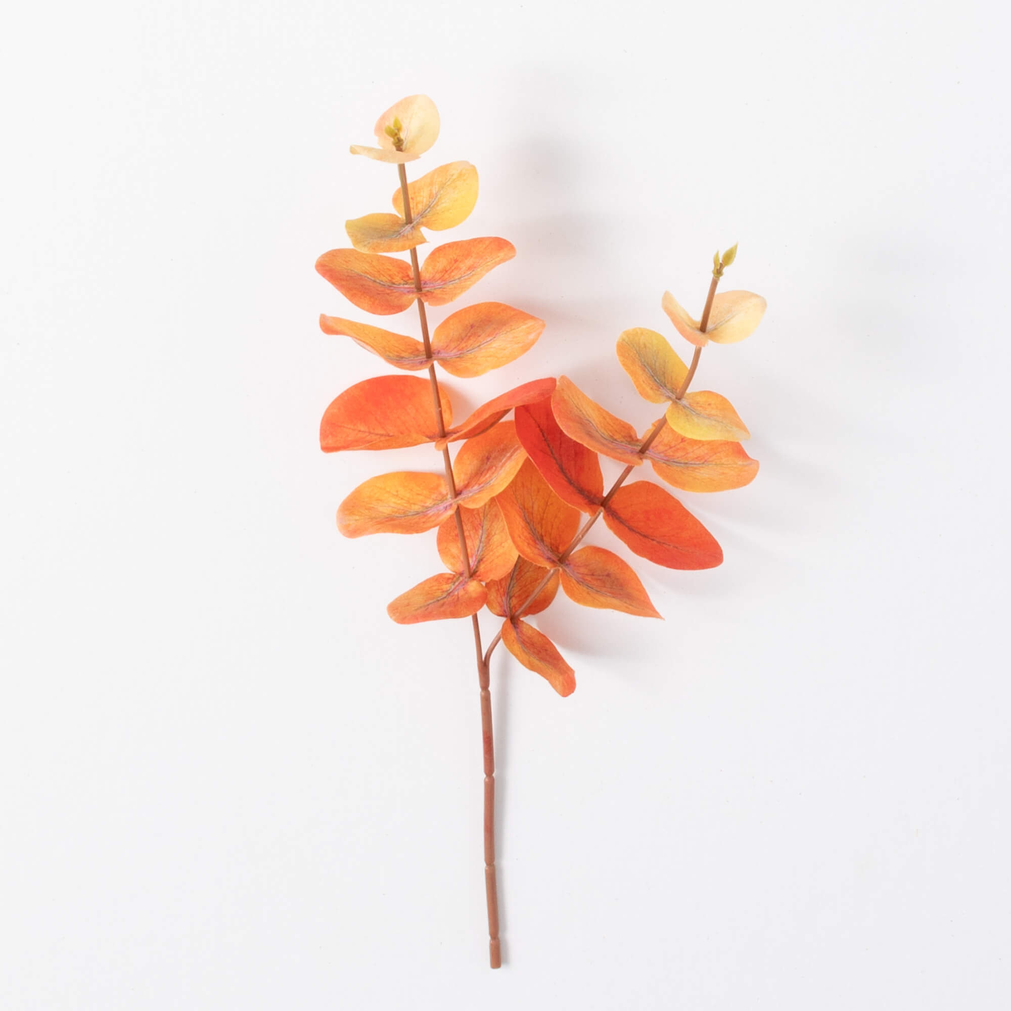 Fall Eucalyptus Pick