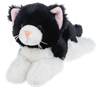 Nuzzles Cat