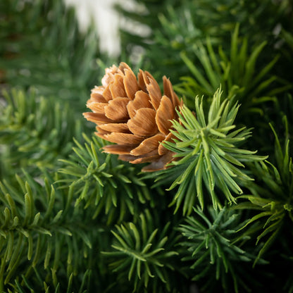 Angel Pine Orb