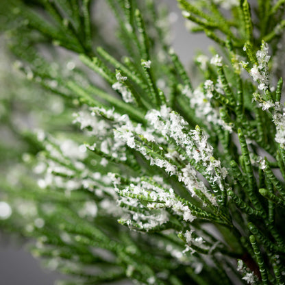 Frosted Cedar Pick