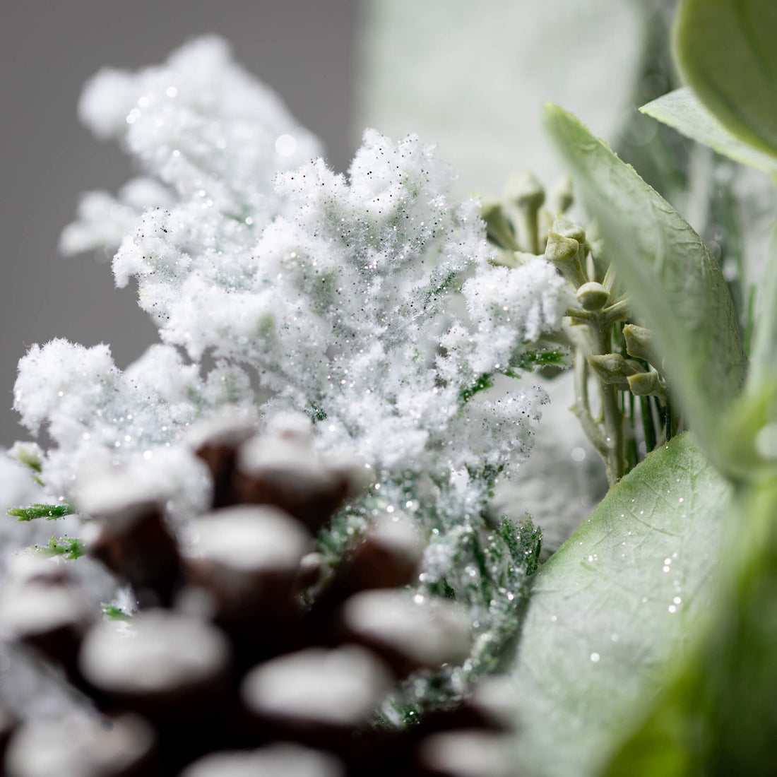 Frosted Sugar Pine Spray