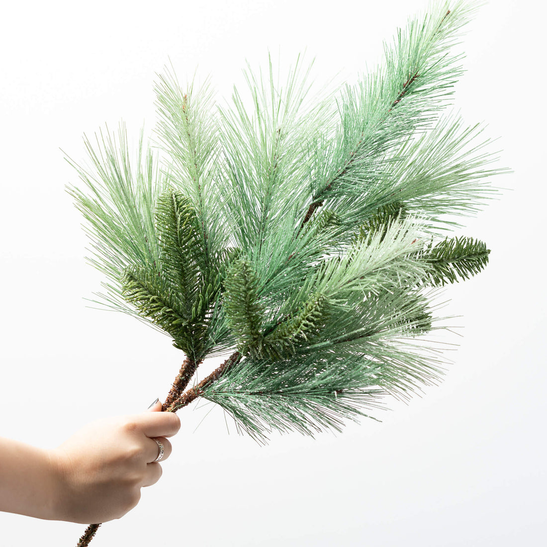 Frosted Pine Spray