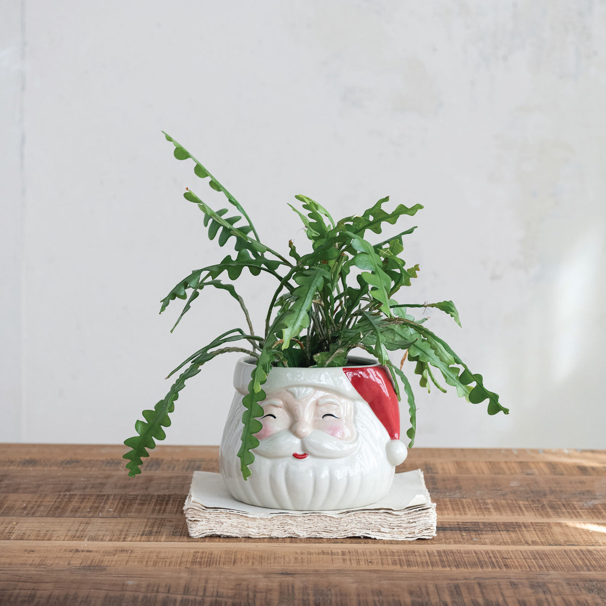 Santa Planter