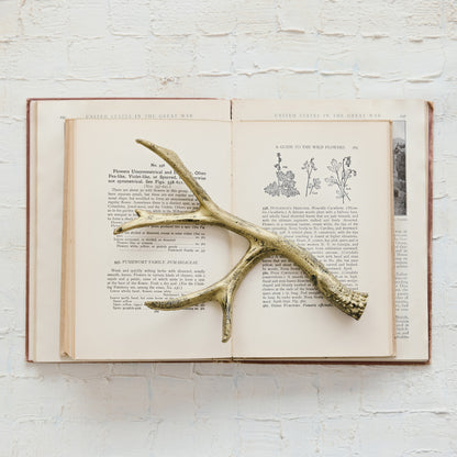 Gold Antler