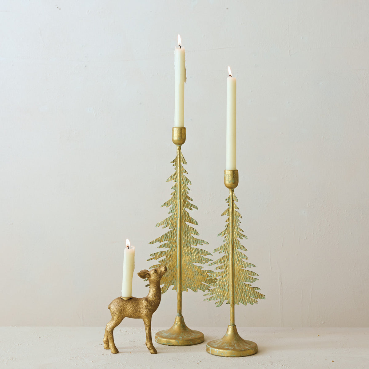 Tree Taper Holder