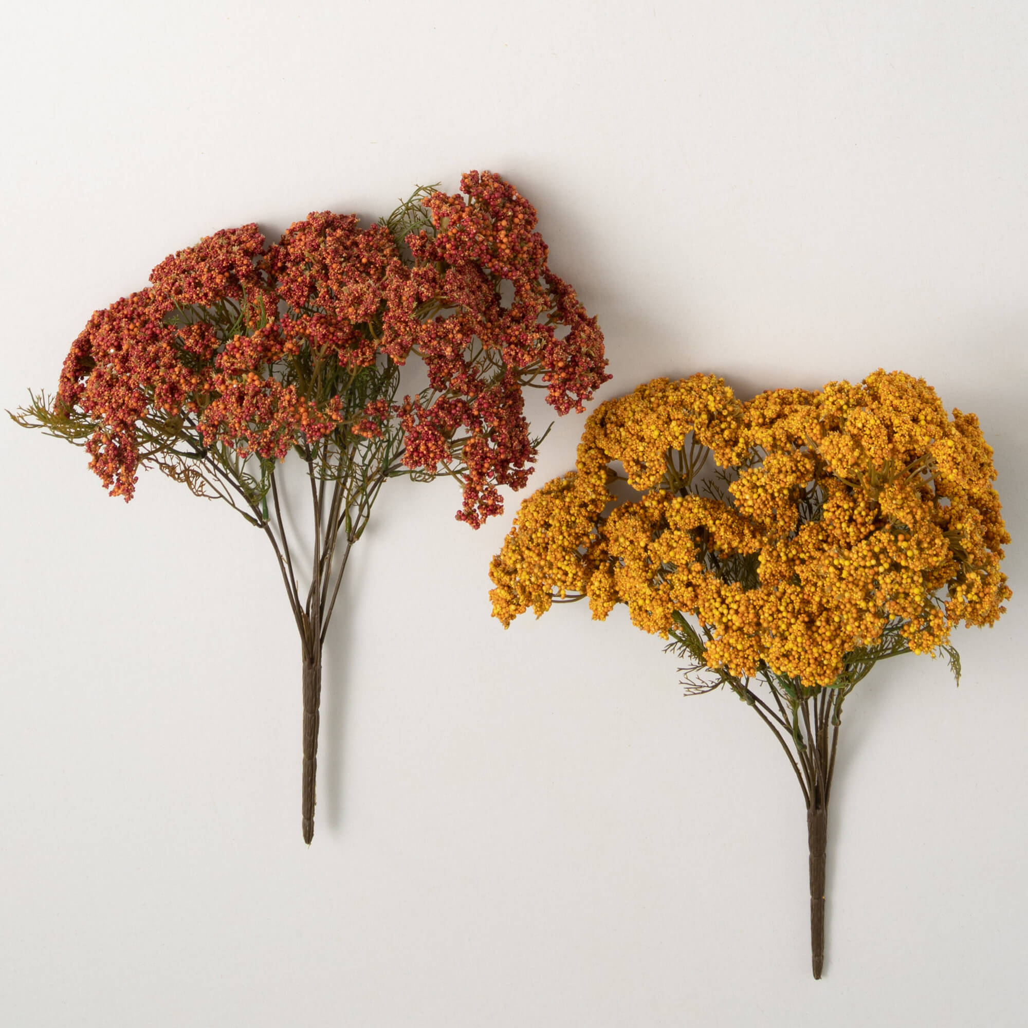 Yarrow Bush