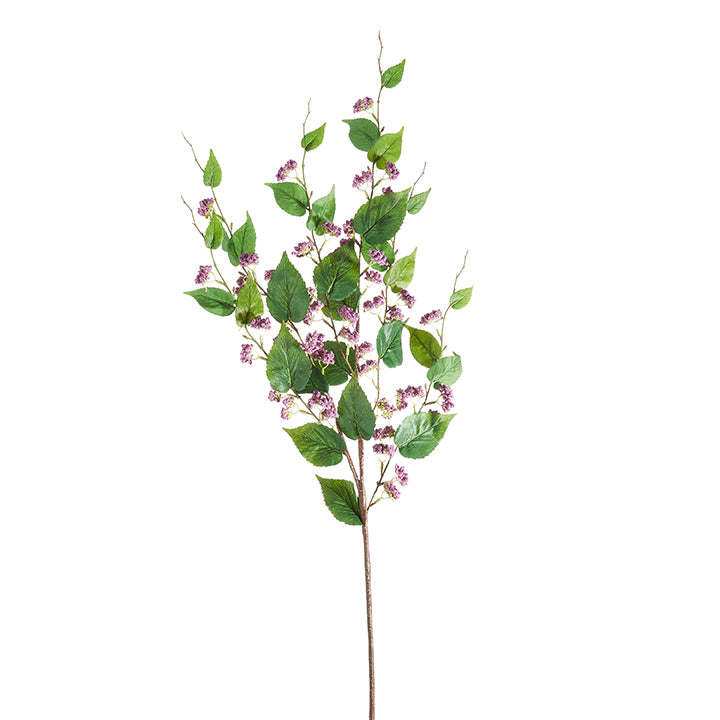 Purple Ivy Branch