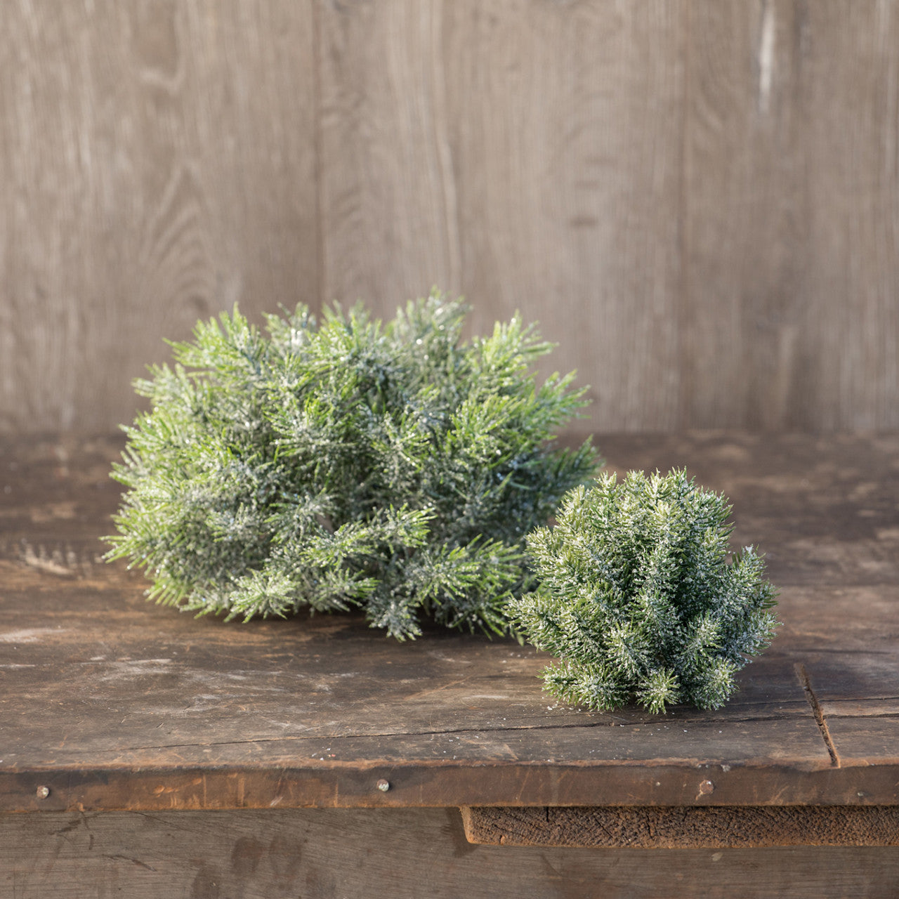 Angel Pine Ball with Snow