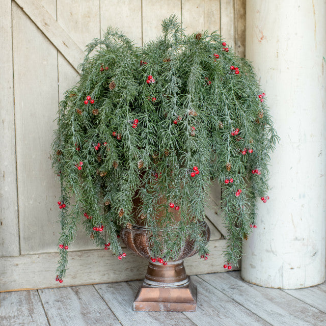 Iced Pine w/ Berries & Cones Weeping Spray