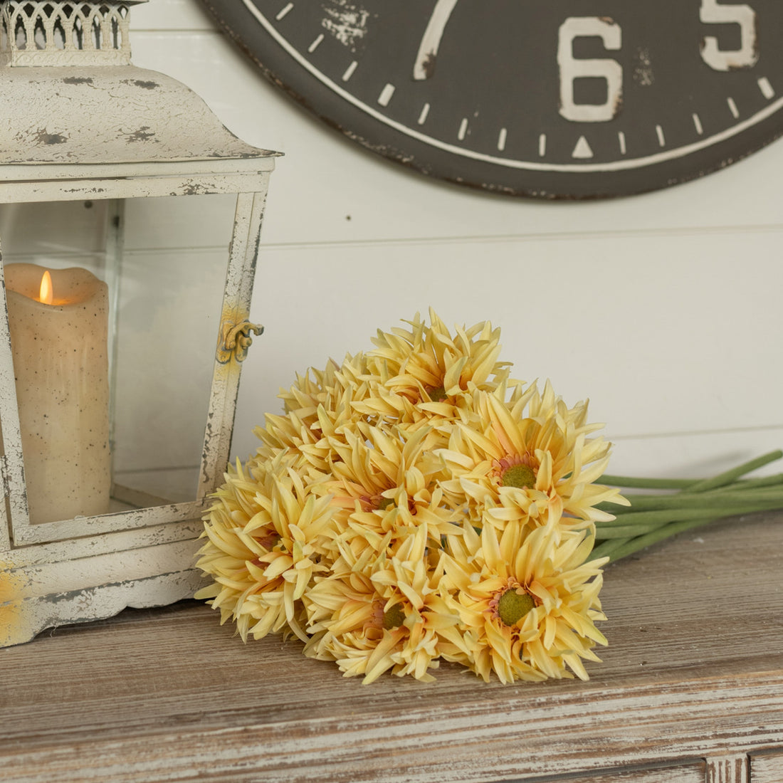 Light Yellow Gerbera Daisy