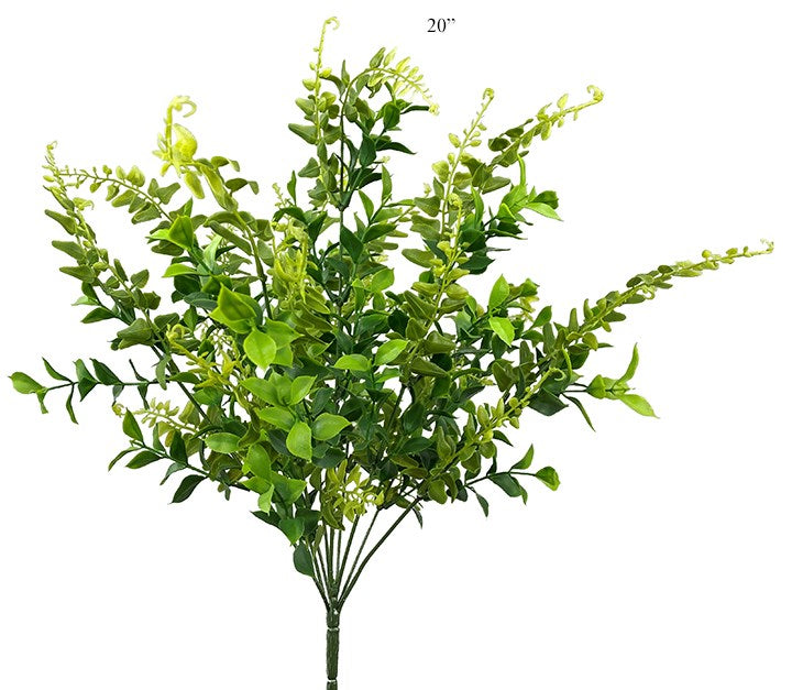 mixed green bush
