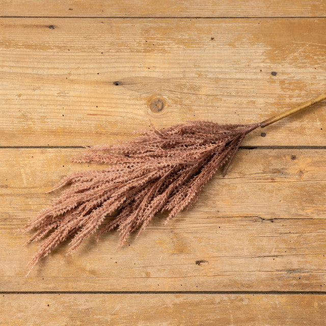 Purple Pampas Grass