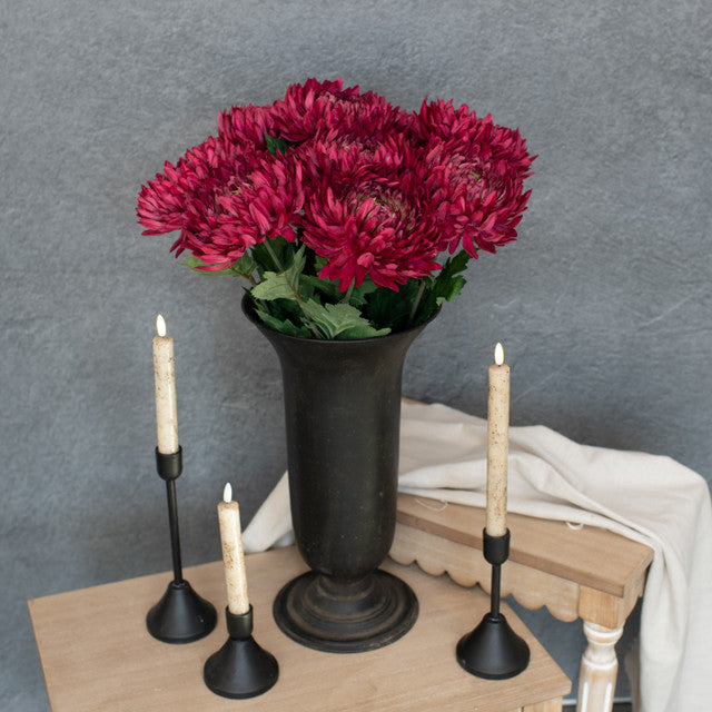 Red Chrysanthemum