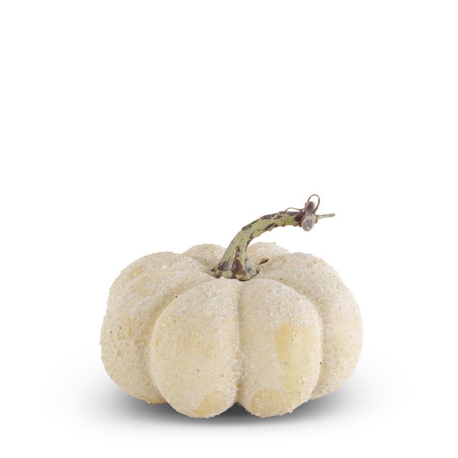 Cream Pumpkin