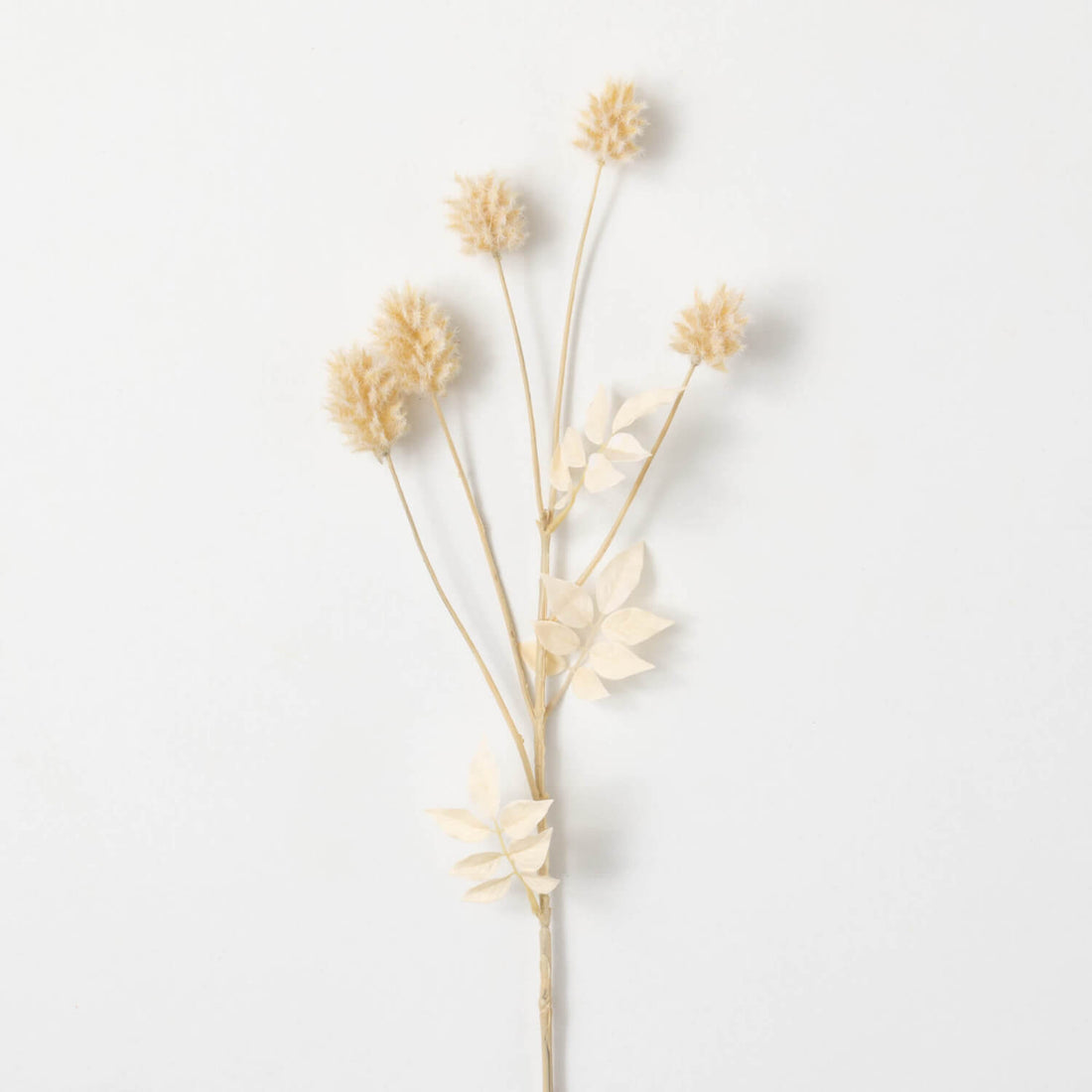 Cream Thistle Spray