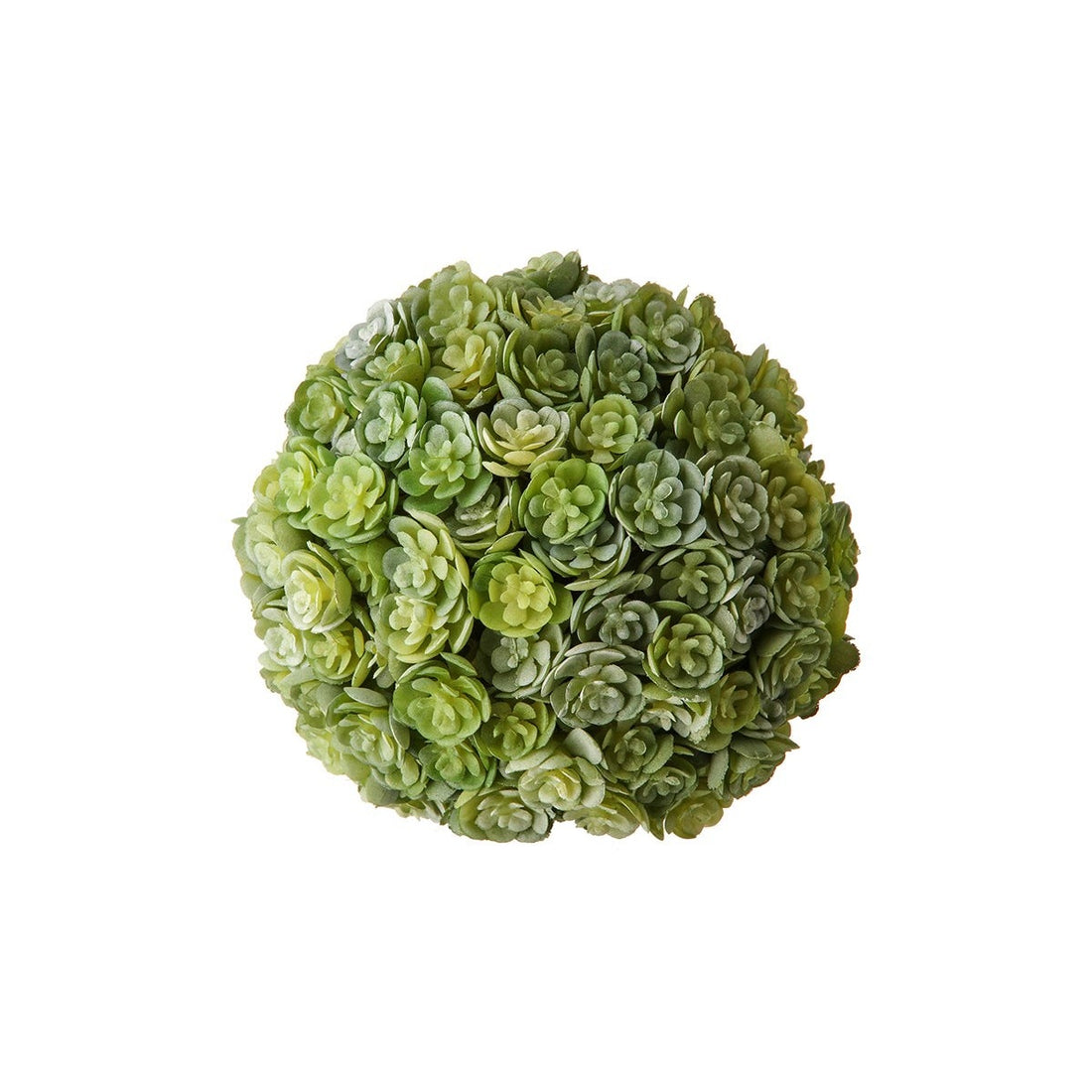 Green Succulent Ball