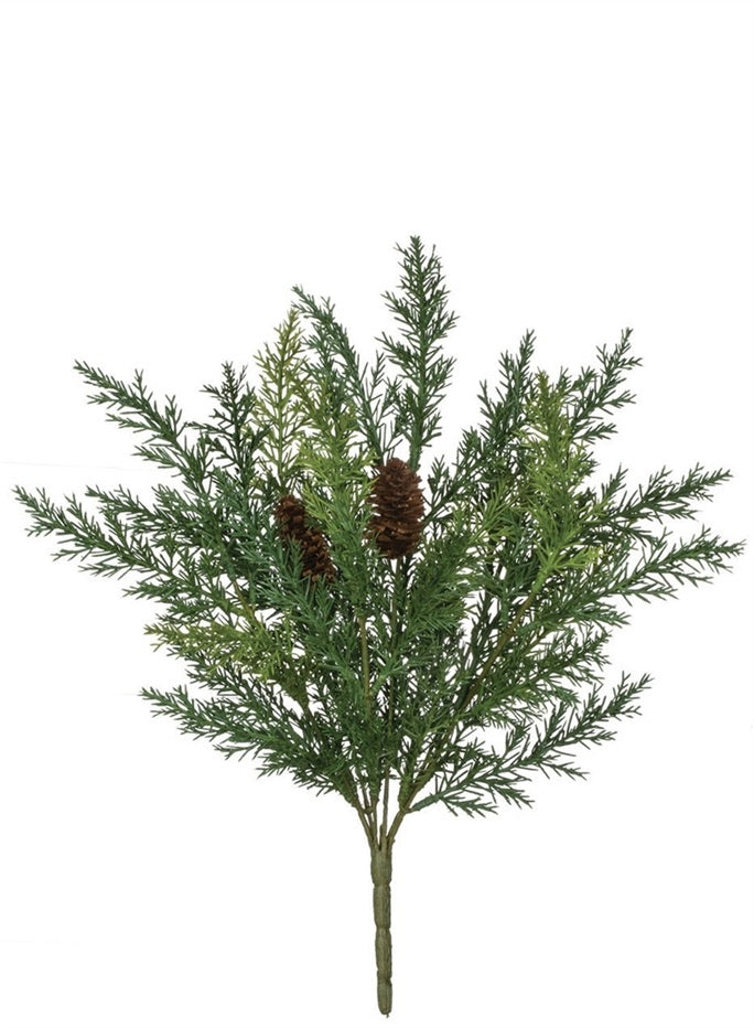 Arborvitae bush