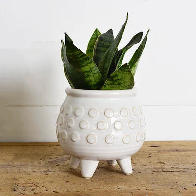 Dot Planter