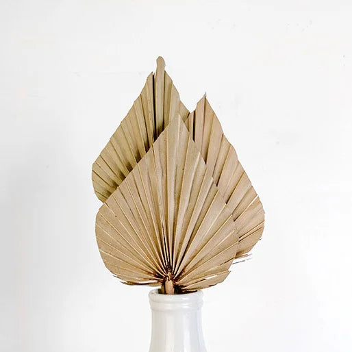 Natural Palm Spear Stem Set