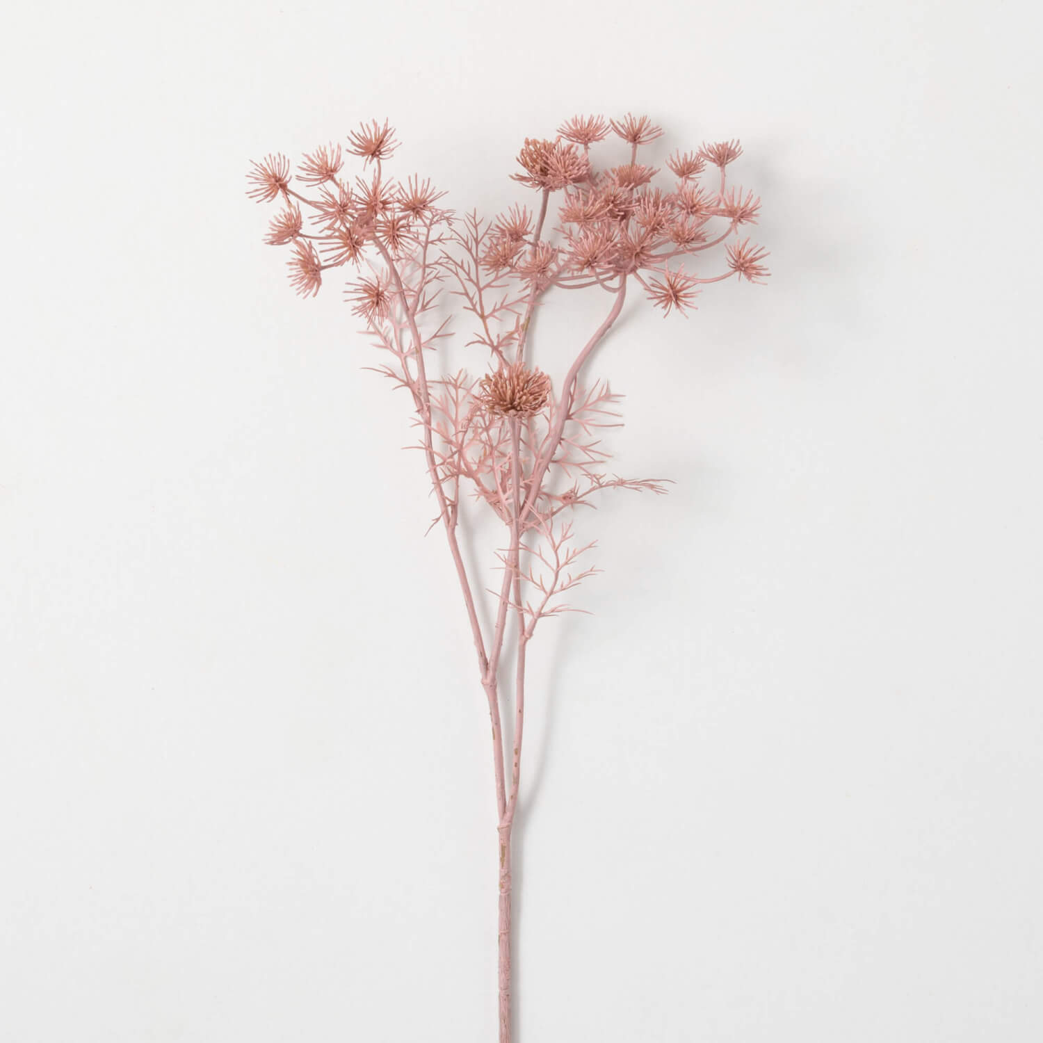 Pink Queen Lace Stem