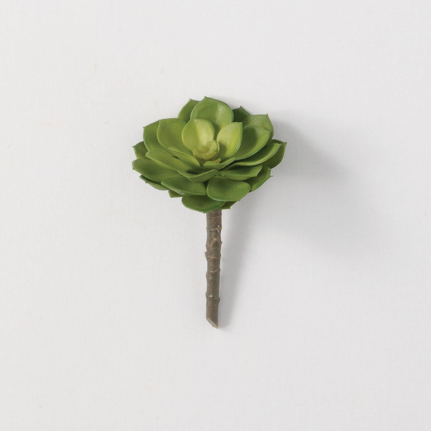 Small Succulent Pick