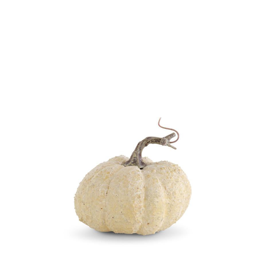 Cream Textured Pumpkin