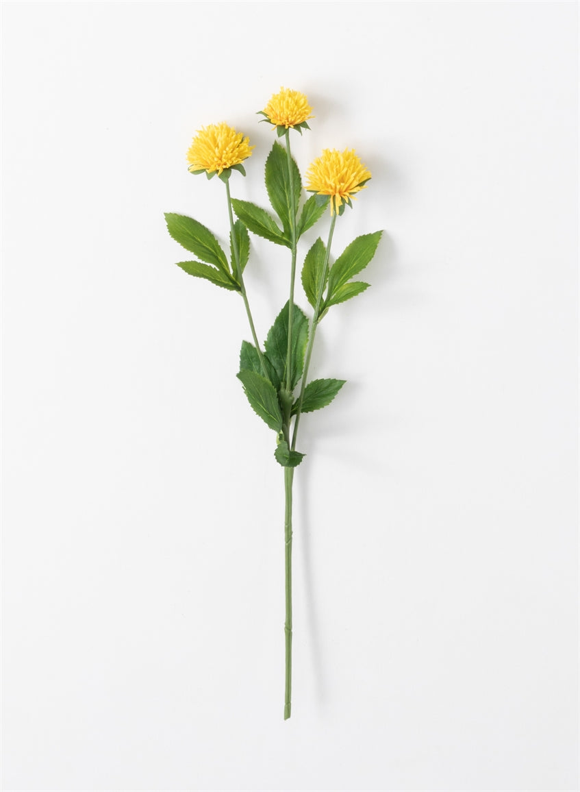 Yellow clover stem